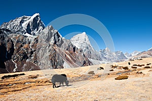 View of Mount Taboche and Cholatse in Himalayas, Nepal.