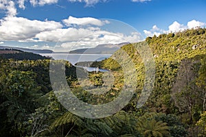 View on Mount Tarawera over Lake Tarawera with lush forest in foreground and cloudy blue sky, Rotorua