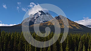 View of Mount Temple in Banff National Park, Canada with snow-capped peak, yellow colored larch trees and forest in front.