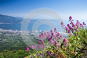 View from Mount Vesuvius to Sorrento