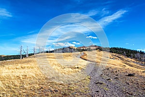 View of Mount Washburn