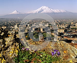 View of Mountain Ararat