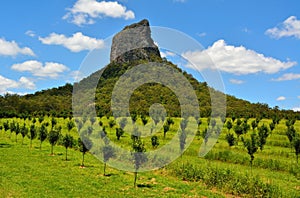 View of Mountain Coonowrin in Glass House Mountains region in Qu photo