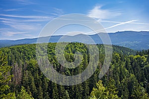 View on the mountain forest