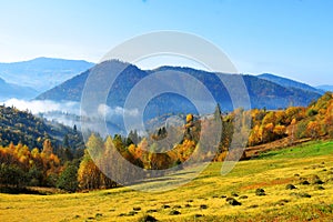 View mountain forest grass tree yellow green orange sky blue nature beautifull landscape enjoy relaxtime relax high