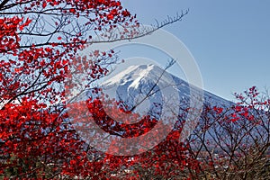 View of mountain Fuji in autumn Japon