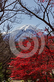 View of mountain Fuji in autumn Japon