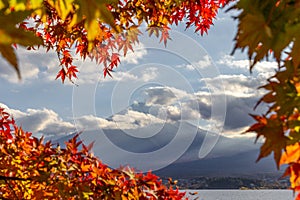 View of mountain Fuji in autumn Japon