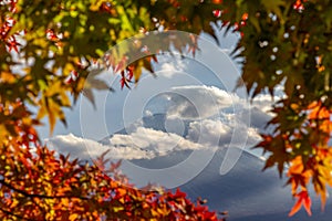 View of mountain Fuji in autumn Japon photo