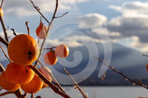 View of mountain Fuji in autumn Japon