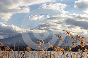 View of mountain Fuji in autumn Japon photo