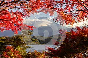 View of mountain Fuji in autumn Japon