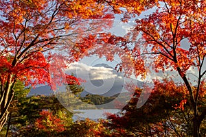 View of mountain Fuji in autumn Japon photo