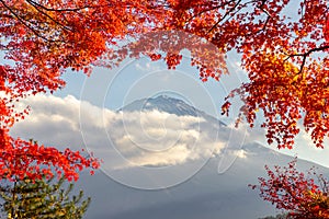 View of mountain Fuji in autumn Japon photo