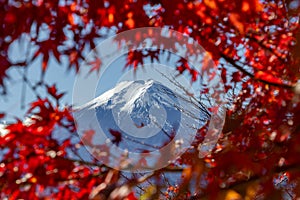 View of mountain Fuji in autumn Japon