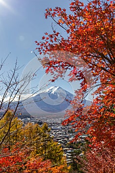 View of mountain Fuji in autumn Japon