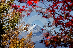 View of mountain Fuji in autumn Japon photo