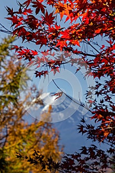 View of mountain Fuji in autumn Japon photo