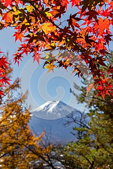 View of mountain Fuji in autumn Japon