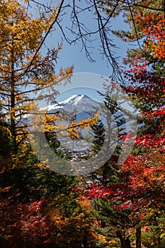 View of mountain Fuji in autumn Japon