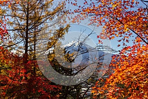 View of mountain Fuji in autumn Japon