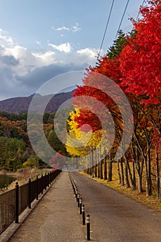 View of mountain Fuji in autumn Japon