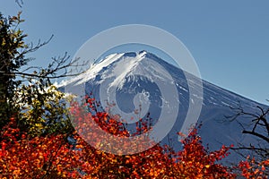 View of mountain Fuji in autumn Japon