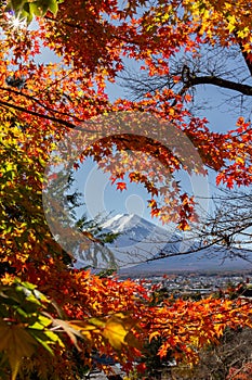 View of mountain Fuji in autumn Japon photo