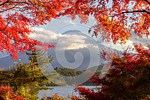 View of mountain Fuji in autumn Japon photo