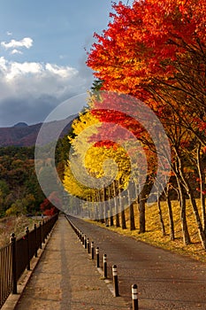 View of mountain Fuji in autumn Japon photo