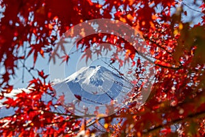 View of mountain Fuji in autumn Japon photo