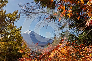 View of mountain Fuji in autumn Japon photo