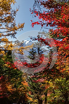 View of mountain Fuji in autumn Japon photo