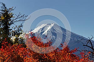 View of mountain Fuji in autumn Japon photo