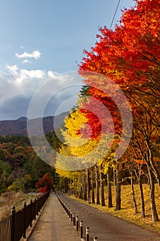 View of mountain Fuji in autumn Japon photo