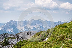 View from mountain Hochobir, Austria, with red flowers to Karawanks