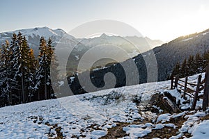 View of the mountain Kitzsteinhorn in winter with trees. View from Keilberg, SchmittenhÃ¶he, Zell am See, Austria.