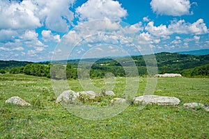 View of a Mountain Meadow in the Blue Ridge Mountains