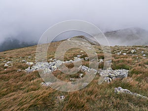 View of mountain meadow, grassy hills with footpath of hiking trail in a dangerous thick fog with almost zero visibility