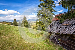 View of mountain meadow in the slovakia