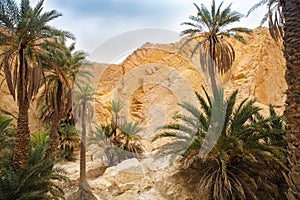 View of mountain oasis Chebika, Sahara desert, Tunisia