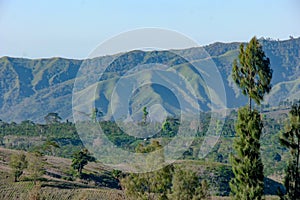 View of mountain ridges and sloping hills with trees under a clear blue sky