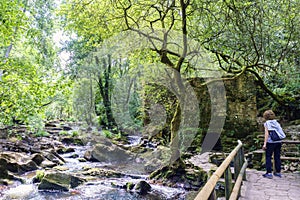 View of a mountain river called Anllons with the riverbed full o