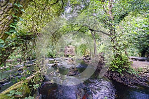 View of a mountain river called Anllons with the riverbed full o