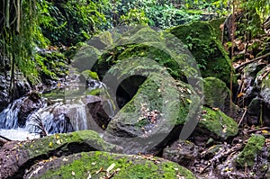 View on a mountain river in Sacred Monkey forest in Ubud