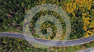 view of the mountain road in the autumn mountains of Dombai, the car is driving along the road