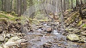A view of a mountain stream that flows down a slope of stones