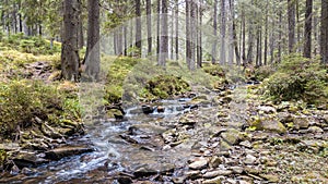A view of a mountain stream that flows down a slope of stones