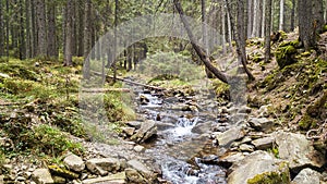 A view of a mountain stream that flows down a slope of stones