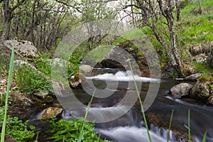 view of a mountain stream in spring in the sierra de guadarrama